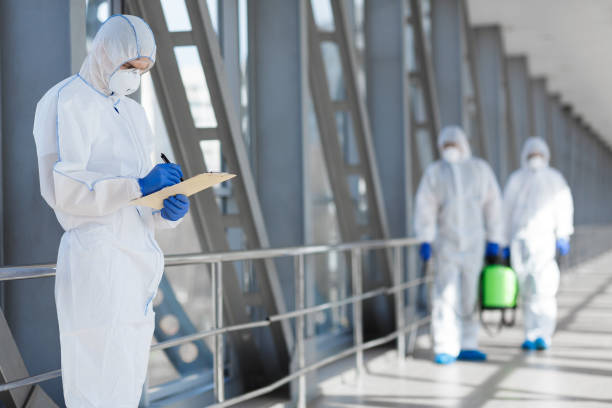 Best Industrial Mold Remediation  in Mineola, NY