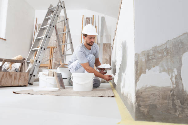 Environmental Consulting for Mold Prevention in Mineola, NY