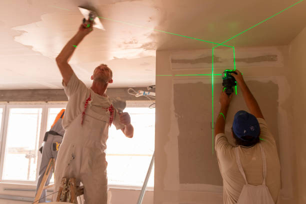 Best Black Mold Removal  in Mineola, NY