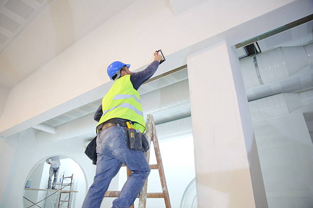 Best Post-Construction Mold Inspection  in Mineola, NY
