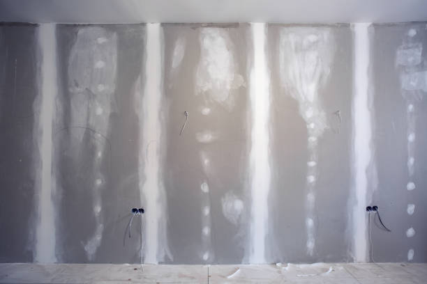 Best Mold-Related Health Consultation  in Mineola, NY